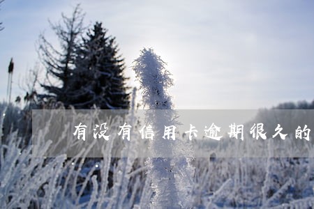 有没有信用卡逾期很久的老哥 有没有信用卡逾期很久的老哥