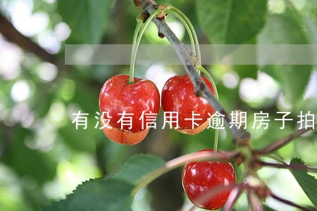 有没有信用卡逾期房子拍卖的 有没有信用卡逾期房子拍卖的