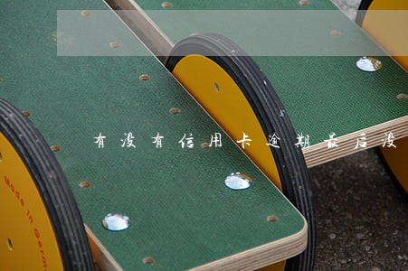 有没有信用卡逾期最后没还的 有没有信用卡逾期最后没还的