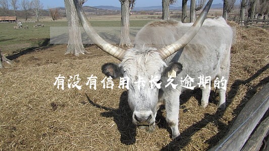 有没有信用卡长久逾期的 有没有信用卡长久逾期的