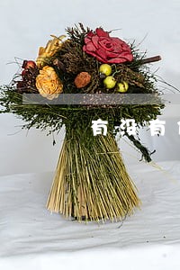 有没有信用逾期不还的 有没有信用逾期不还的