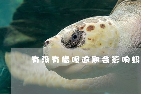 有没有借呗逾期会影响蚂蚁金服 有没有借呗逾期会影响蚂蚁金服