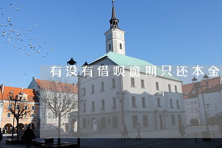 有没有借呗逾期只还本金的 有没有借呗逾期只还本金的