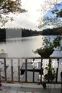 有没有借微粒贷逾期 有没有借微粒贷逾期