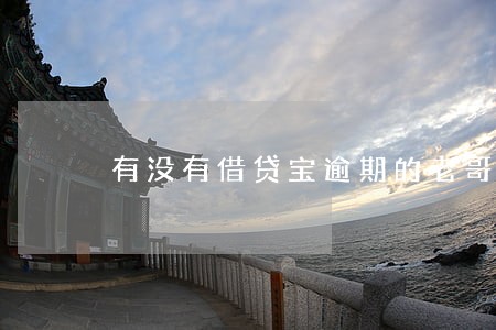 有没有借贷宝逾期的老哥 有没有借贷宝逾期的老哥