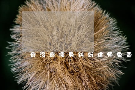 有没有债务纠纷律师免费咨询 有没有债务纠纷律师免费咨询