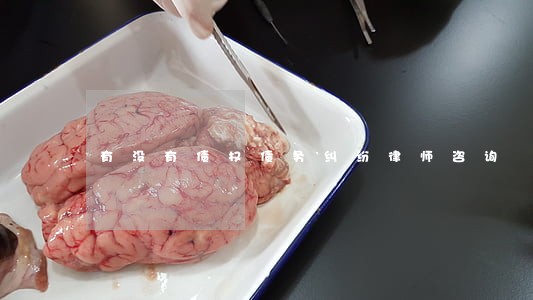 有没有债权债务纠纷律师咨询 有没有债权债务纠纷律师咨询
