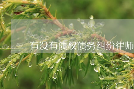 有没有债权债务纠纷律师收费标准 有没有债权债务纠纷律师收费标准