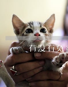 有没有免费咨询离婚律师 有没有免费咨询离婚律师