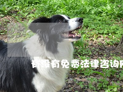 有没有免费法律咨询网 有没有免费法律咨询网