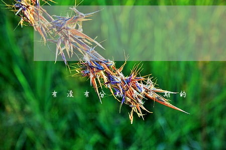 有没有分期易逾期的 有没有分期易逾期的