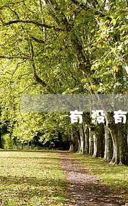 有没有办法取消这笔逾期记录 有没有办法取消这笔逾期记录