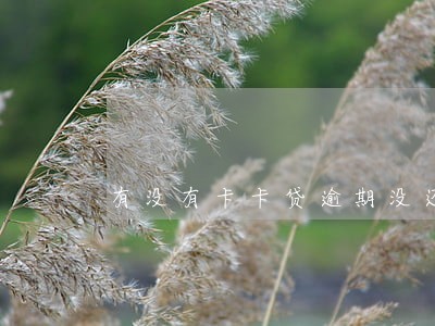 有没有卡卡贷逾期没还的 有没有卡卡贷逾期没还的