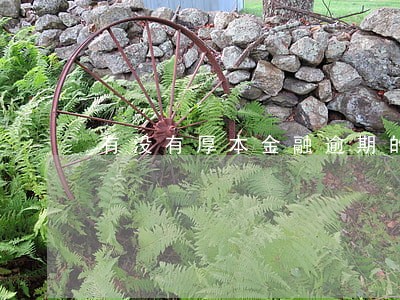 有没有厚本金融逾期的 有没有厚本金融逾期的