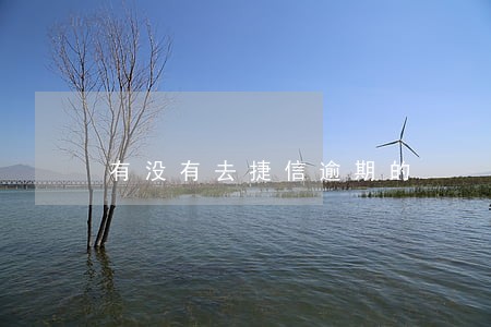 有没有去捷信逾期的