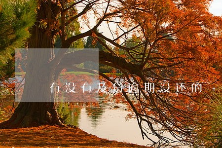 有没有及贷逾期没还的 有没有及贷逾期没还的