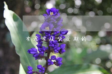 有没有及贷逾期的 有没有及贷逾期的