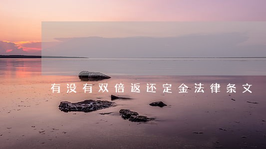 有没有双倍返还定金法律条文 有没有双倍返还定金法律条文