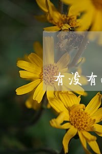 有没有啪啪贷借款逾期 有没有啪啪贷借款逾期