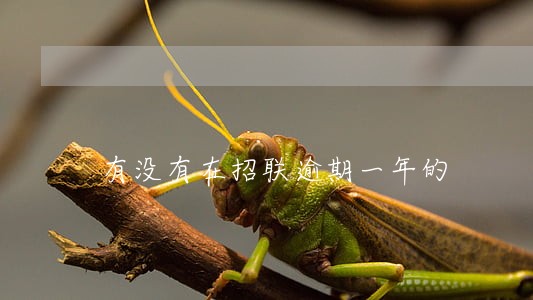 有没有在招联逾期一年的 有没有在招联逾期一年的