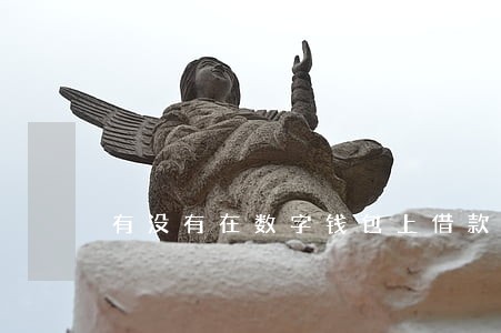 有没有在数字钱包上借款逾期的 有没有在数字钱包上借款逾期的