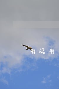 有没有在逾期中可以下的口子 有没有在逾期中可以下的口子