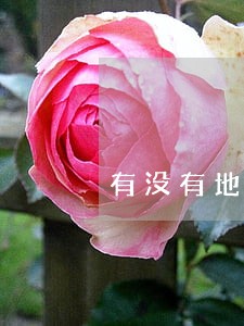 有没有地方合同法一说