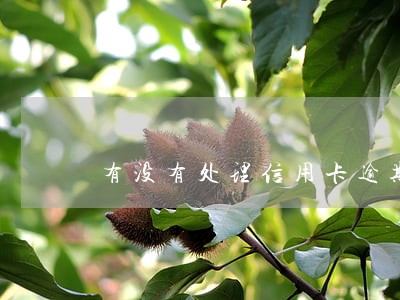 有没有处理信用卡逾期还款后果 有没有处理信用卡逾期还款后果