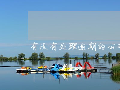有没有处理逾期的公司 有没有处理逾期的公司