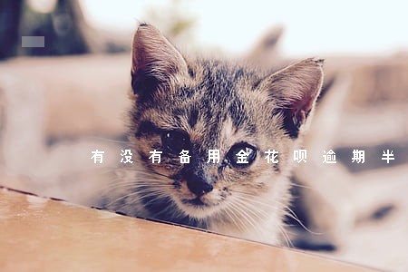 有没有备用金花呗逾期半年的 有没有备用金花呗逾期半年的