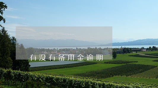 有没有备用金逾期 有没有备用金逾期