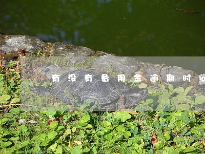 有没有备用金逾期时间长的 有没有备用金逾期时间长的