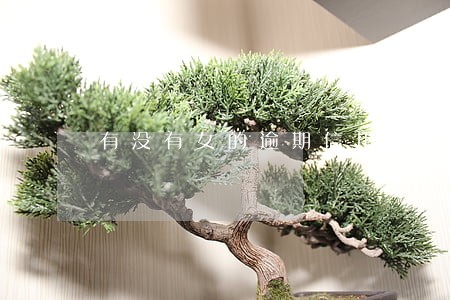 有没有女的逾期信用卡的 有没有女的逾期信用卡的