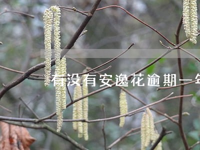 有没有安逸花逾期一年的 有没有安逸花逾期一年的