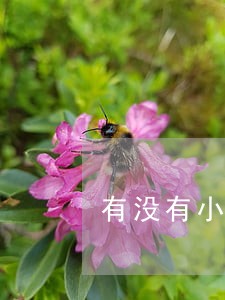 有没有小米贷款逾期半年的