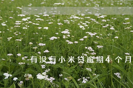 有没有小米贷逾期4个月的 有没有小米贷逾期4个月的