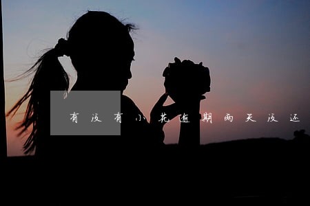 有没有小花逾期两天没还的 有没有小花逾期两天没还的