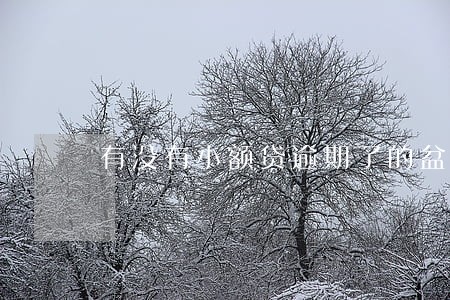 有没有小额贷逾期了的盆友 有没有小额贷逾期了的盆友