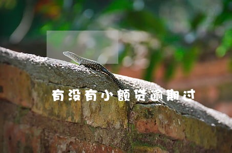 有没有小额贷逾期过 有没有小额贷逾期过