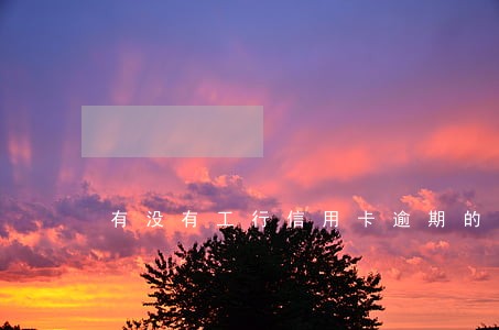 有没有工行信用卡逾期的 有没有工行信用卡逾期的