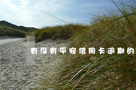 有没有平安信用卡逾期的 有没有平安信用卡逾期的