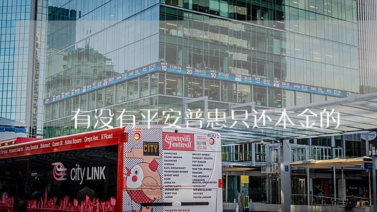 有没有平安普惠只还本金的 有没有平安普惠只还本金的