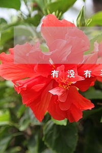 有没有平安普惠网贷逾期的