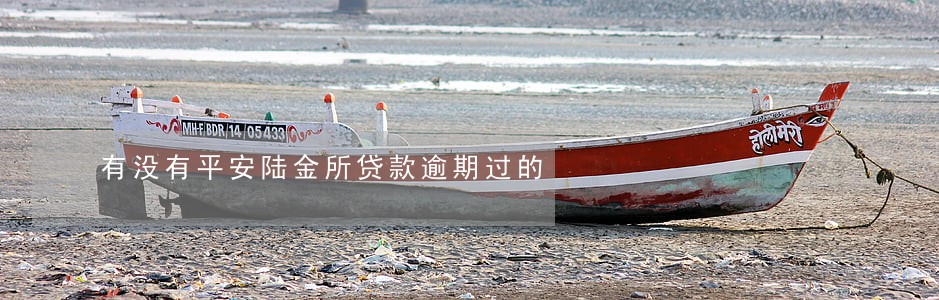 有没有平安陆金所贷款逾期过的 有没有平安陆金所贷款逾期过的