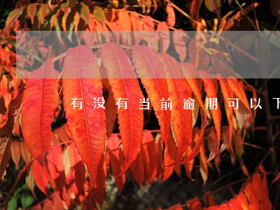 有没有当前逾期可以下款的 有没有当前逾期可以下款的