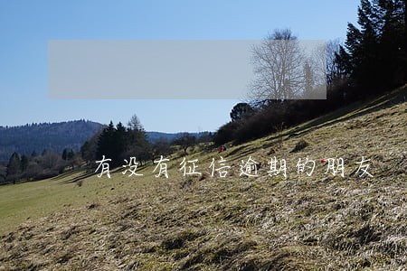 有没有征信逾期的朋友 有没有征信逾期的朋友