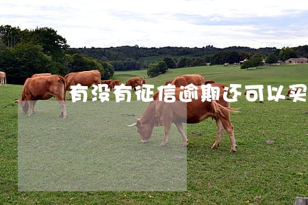有没有征信逾期还可以买房的 有没有征信逾期还可以买房的