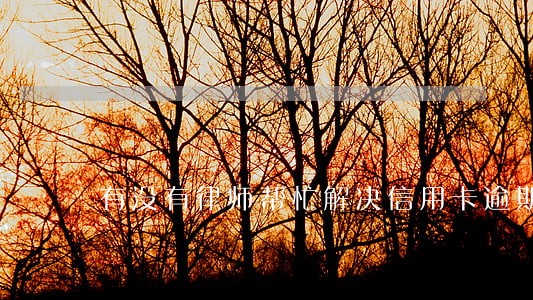 有没有律师帮忙解决信用卡逾期