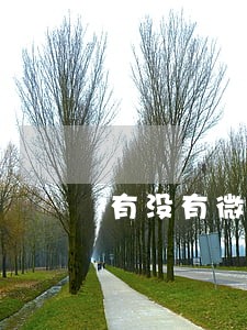有没有微博借钱跟金东京条逾期的 有没有微博借钱跟金东京条逾期的