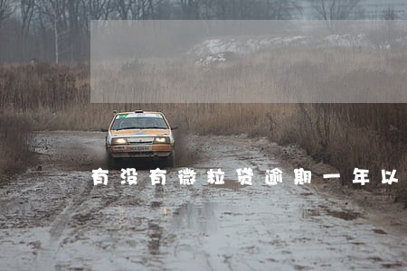 有没有微粒贷逾期一年以上的 有没有微粒贷逾期一年以上的